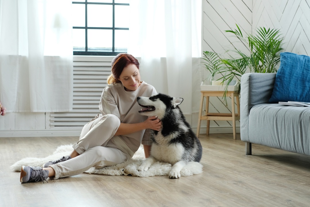 Pet-Friendly Apartments in Kigali: Where to Find Them and What to Expect